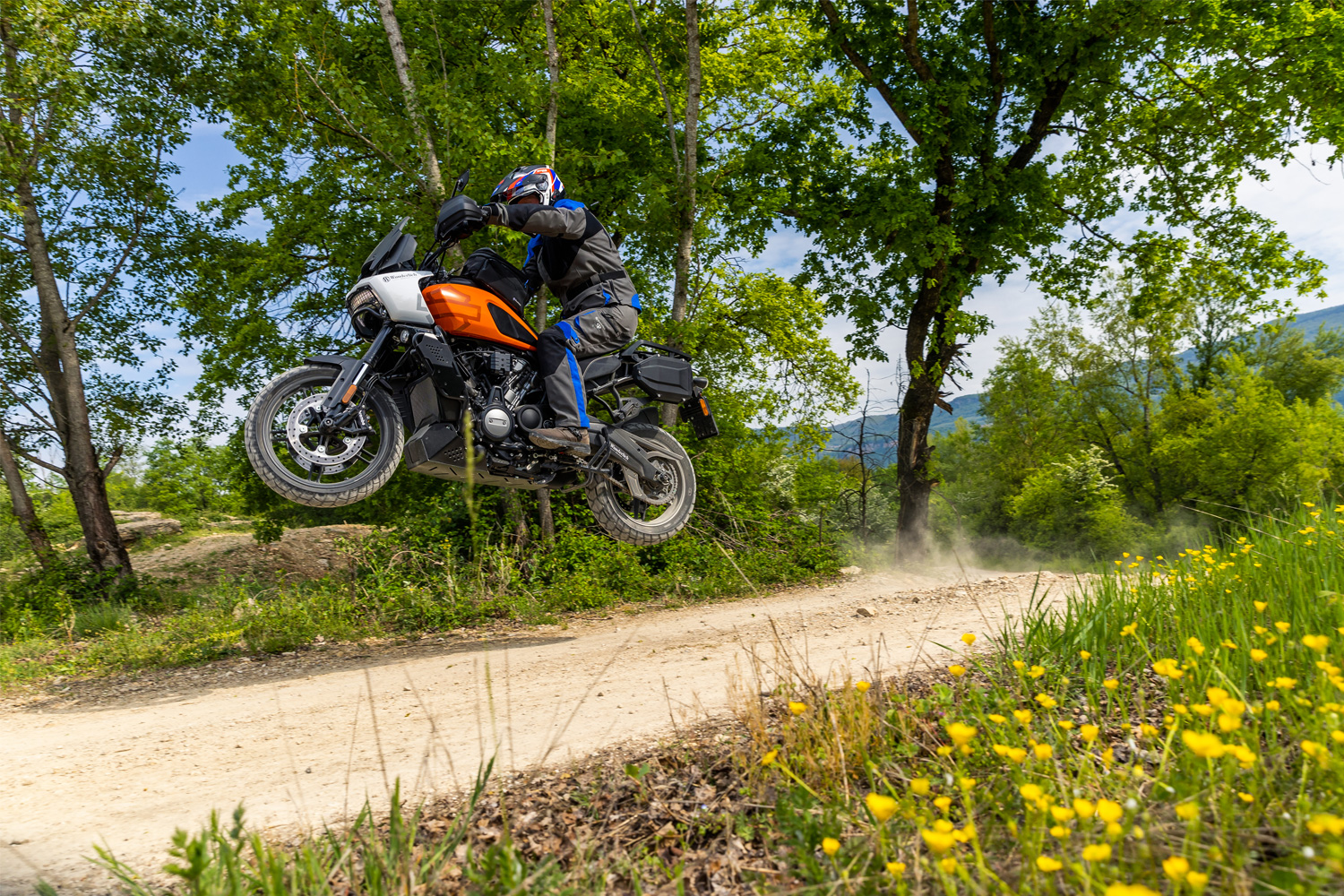 Wunderlich Wasserkühlerschutz EXTREME Pan America 1250