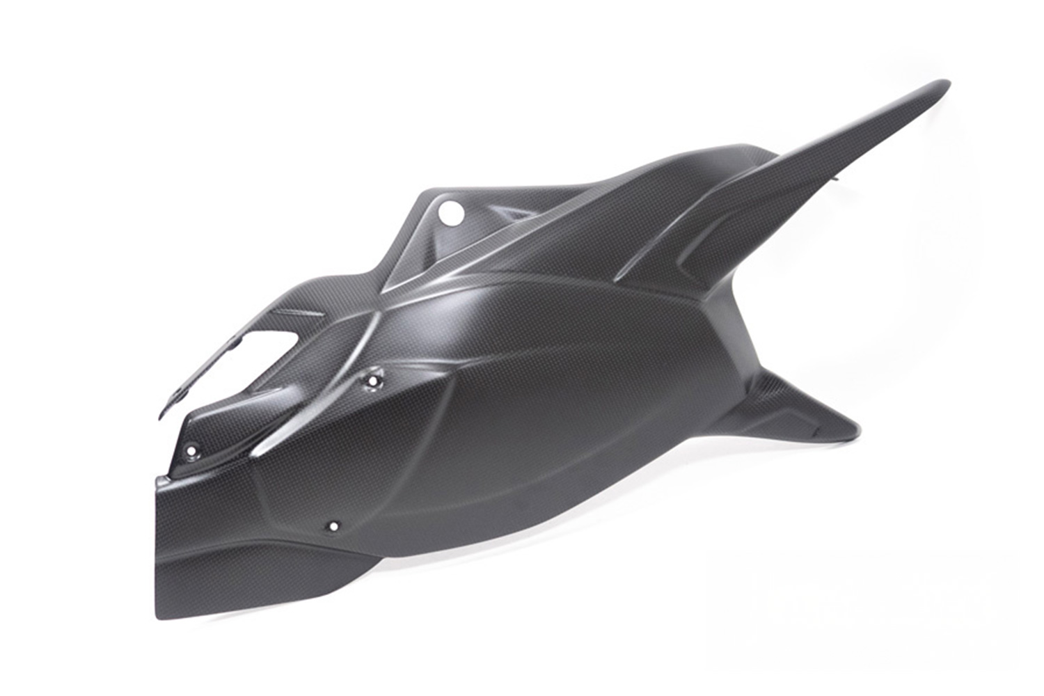 Coperture forcellone Ilmberger in carbonio opaco con paracatena MTS /PP/RS