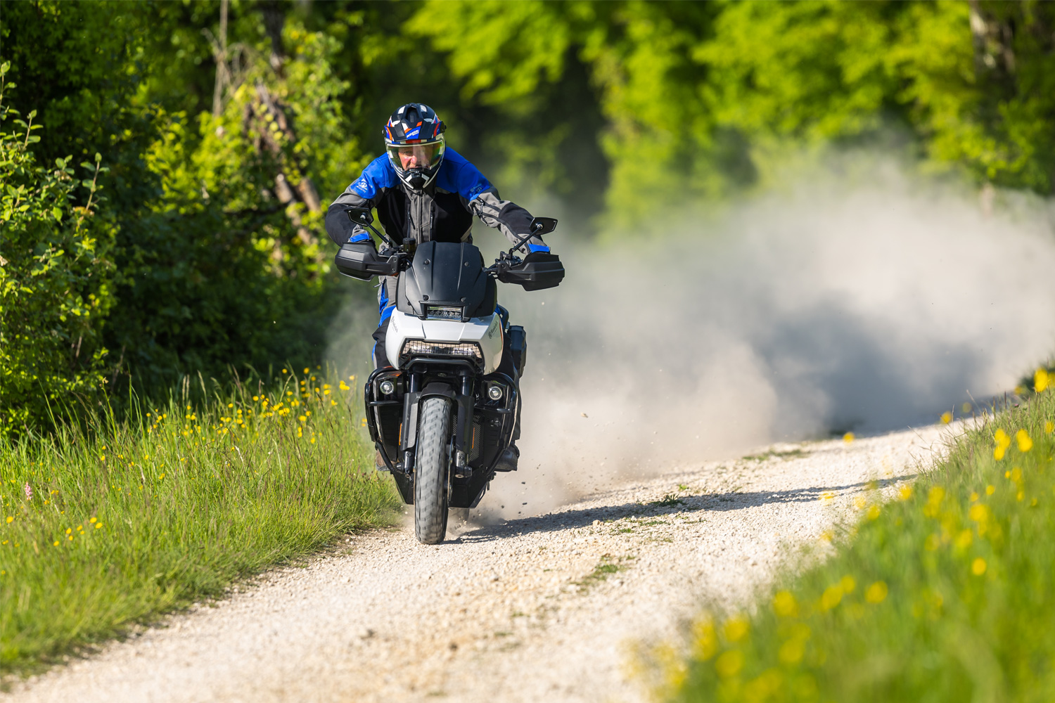 Ampliación de Wunderlich del palanca de freno Pan America 1250