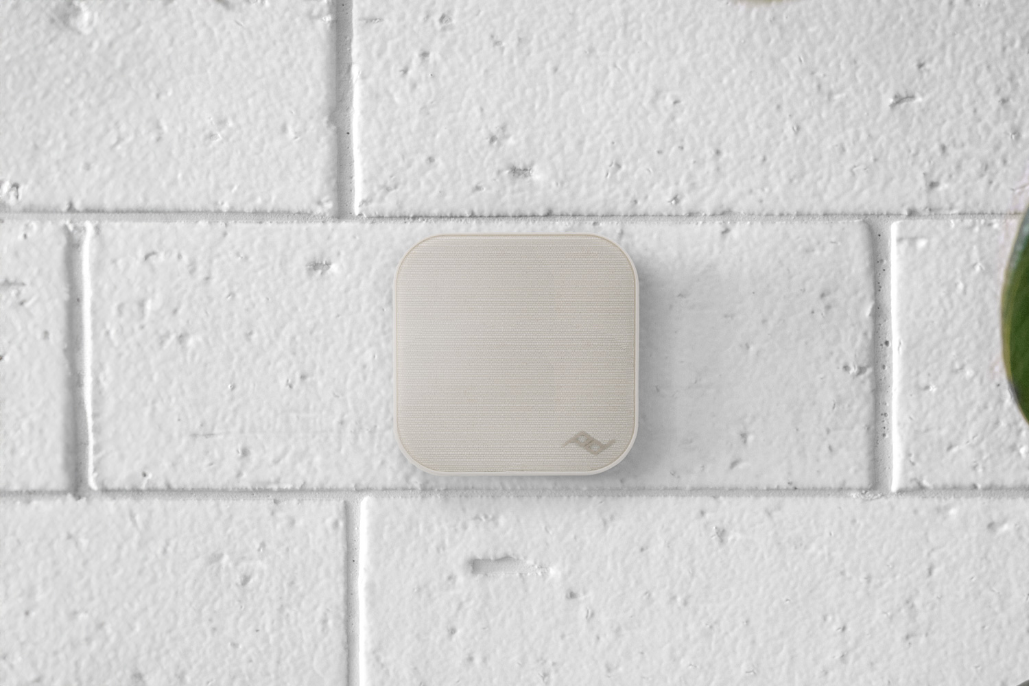 Peak Design Wall Mount